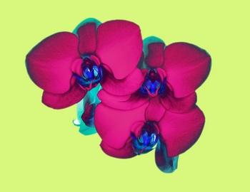 F 043F